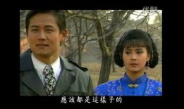 婉君电视剧在线观看,穿越时空的青春恋曲